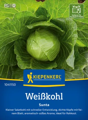 Artikelbild 2 von 'Weißkohl Sunta F1' aus der Kategorie Weißkohlsamen