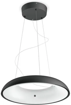Produktbild von Philips Hue White Amb. Amaze Pendelleuchte schwarz 3000lm DS