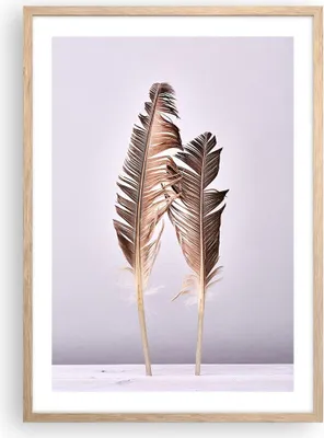 Produktbild von Gerahmtes Poster - Rahmen in heller Eiche - Zwei Federn Flieder - 50x70 cm - Wand Bild - Wanddeko - Wandbilder - Wandposter - Bilderrahmen - Bilder - Kunstdruck - Wandbild - P2NPA50x70-4335