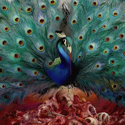 Obrázok produktu pre Opeth: Sorceress (Reissue 2023) -   - (CD / S)