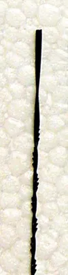 Image de Lames scie à chantourner - 12 pièces - 127x0,88mm