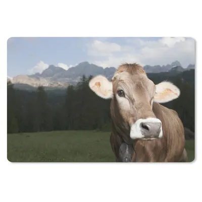 Produktbild von MuchoWow® Schreibtischunterlage Kuh - Licht - Porträt 60x40 cm - XXL Mauspad - Großes Mauspad