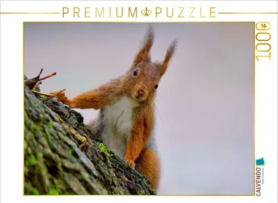 Produktbild von CALVENDO Puzzle Auge in Auge | 1000 Teile Lege-Größe 64x48cm Foto-Puzzle für glückliche Stunden