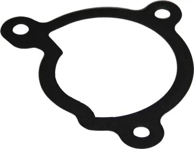 Obrázok produktu pre O-krúžok, tesniaci krúžok pre vodnú pumpu, originálna náhrada Aprilia, kód 1A017976, pre modely RS 125 ABS, ročníky 2021-2022