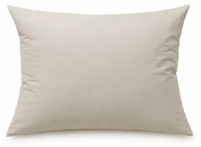 Produktbild von Füllkissen Federkissen 40x60 cm Kissenfüllung Kopfkissen Deko Kissen Sofakissen Federn