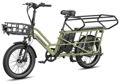 Immagine prodotto di FAFREES FF20 CUV Bicicletta elettrica - Motore 250W Batteria 48V30Ah 20" Pneumatici Freno a disco idraulico - Verde