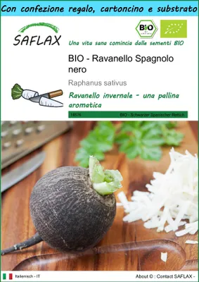 Immagine prodotto di SAFLAX Set regalo - BIO - Ravanello Spagnolo nero  - 100 semi - Raphanus
