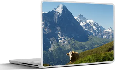 Produktbild von MuchoWow® Laptop Aufkleber Sticker Cover Schweizer Kuh vor dem Eiger in der Jungfrauregion 36.5x27.5 cm - Laptop-Sticker