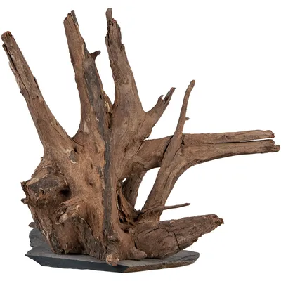 Image de sERA Scaper Wood M 18 - 20 cm