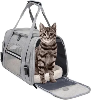 Produktbild von Transporttas für Katzen – Reisetransportbox für Haustiere – Sicherer Transport – Faltbar, leicht – 43 x 25 x 28 cm – Grau