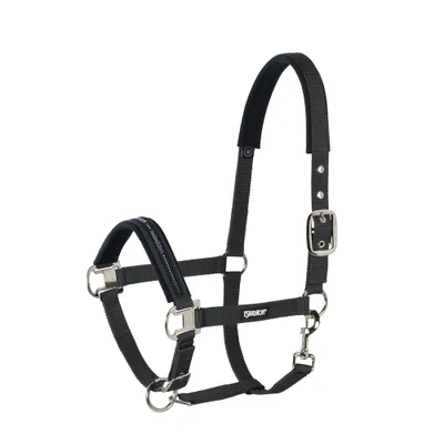 Produktbild von Eskadron Halfter Dornschnalle Basics Black P2