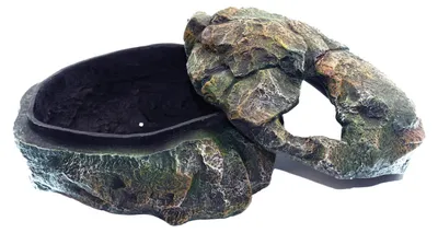 Image de Abri Repti 3 en 1 pour reptiles et amphibiens, 30 cm