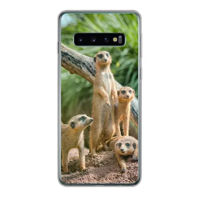 Produktbild von MuchoWow® Handyhülle Schutzhülle Hülle für Samsung Galaxy S10 Familie - Tiere - Erdmännchen Silikon Softcase Handy Hülle - Handytasche