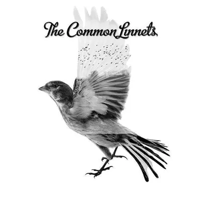 Produktbild von The Common Linnets