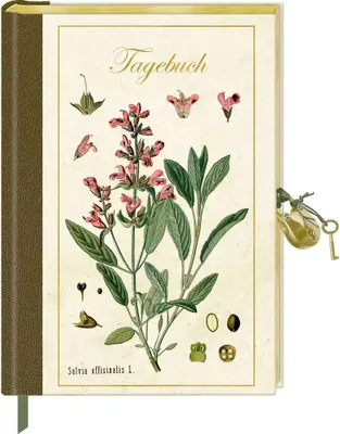Image de Journal intime avec serrure