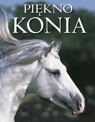 Obrázek produktu pro Piękno konia