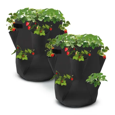 Produktbild von Erdbeer Pflanzsack im 2er Set - je 45 x 35 cm / 45 Liter - Pflanz Tasche Beutel