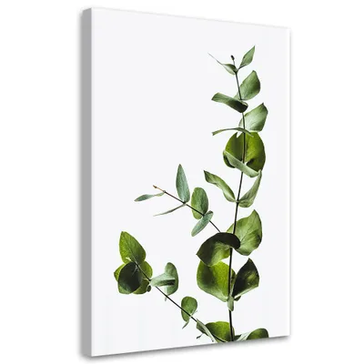 Produktbild von Leinwandbild Grüner Zweig Natur 60x90 Feeby Grün bild für die wand bereit zum aufhängen