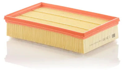 Image de Filtre à air MANN-FILTER C 28 050
