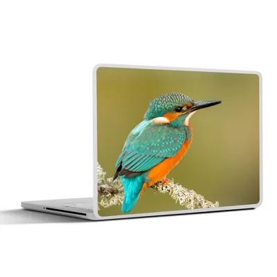 Produktbild von MuchoWow® Laptop Aufkleber Sticker Cover Eisvogel - Tiere - Vogel 30x21 cm - Sticker für Laptop - Selbstklebend