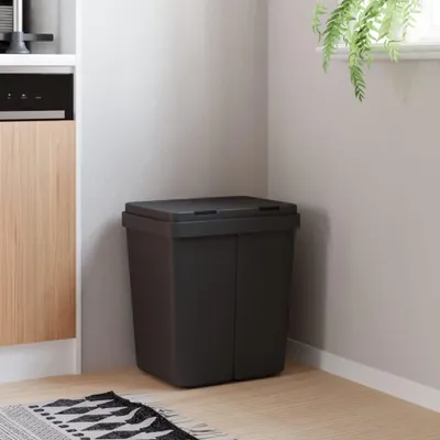 Immagine prodotto di vidaXL Cestino Duo antracite 2x25 L
