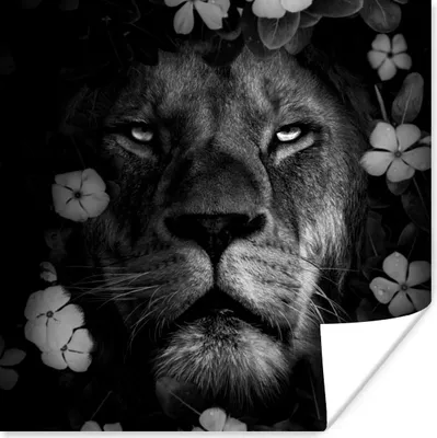 Produktbild von MuchoWow® Poster Blumen - Löwe - Dschungel - Schwarz - Weiß 50x50 cm - Wohnzimmerdekoration