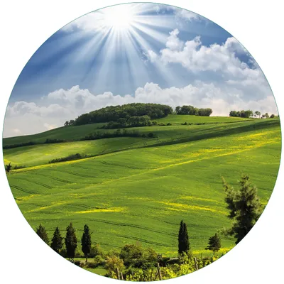 Produktbild von Wallario Premium Glasbild, freischwebende Optik, kräftige Farben, rund 50cm Durchmesser, Motiv Strahlender Sonnenschein