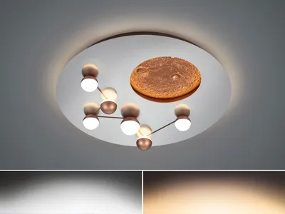 Image de Plafonnier LED ZODIAC 42 W, de 2 700 à 3 500 K, 5 100 lm, métal, nuances d'argent, dimensions : 10 x 50 x 50 cm, IP20, Trio