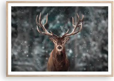 Produktbild von Gerahmtes Poster - Rahmen in heller Eiche - Hirsch Hirsch Winter - 100x70 cm - Wand Bild - Wanddeko - Wandbilder - Kunstposter - Wandposter - Bilderrahmen - Bilder - Kunstdruck - P2NAA100x70-4998