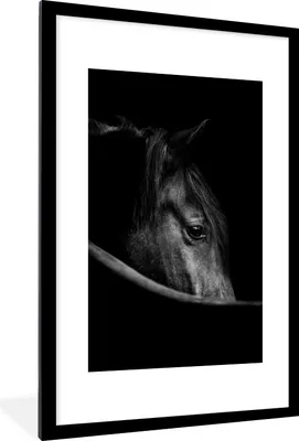 Produktbild von MuchoWow® Gerahmtes Poster Pferde - Porträt - Schwarz - Tiere 60x90 cm - Poster mit Schwarzem Bilderrahmen Wandposter Rahmen Foto Bilder - Dekoration - Wandposter Wohnzimmer - Hochwertig