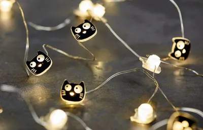 Zdjęcie produktu dla Ed, kot Mini-Lichterkette
