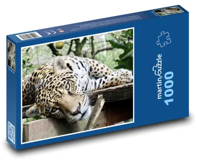 Zdjęcie produktu dla Puzzle 1000 Jaguar w dżungli deszczowej - martinpuzzle