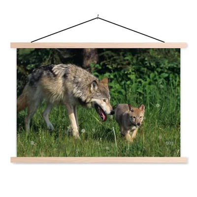 Produktbild von MuchoWow® Textilposter Wolf - Baby - Gras 60x40 cm mit holzfarbenen Rahmen - Bilder