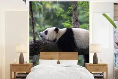 Produktbild von MuchoWow® Fototapete für Wohnzimmer oder Schlafzimmer Wandtapete Vinyl Motivtapete Panda - Baum - Tiere - Natur - 195x260 cm - Wandbild