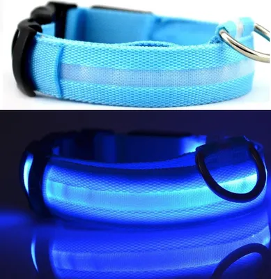 Produktbild von Hundehalsband Leuchthalsband Halsband für Hunde LED USB Aufladbar mit Akku BLAU -  Größe Gr. S (34 - 41cm)