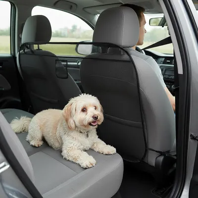 Immagine prodotto di Gabbia per cani, auto, bagagliaio, sedile posteriore, rete pieghevole con tasca, taglia S