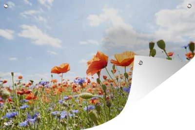 Produktbild von MuchoWow®