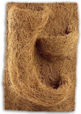 Immagine prodotto di Sfondo vegetale naturale per terrario - vivace e decorativo - 1 pezzo - 20 x 30 x 1 cm
