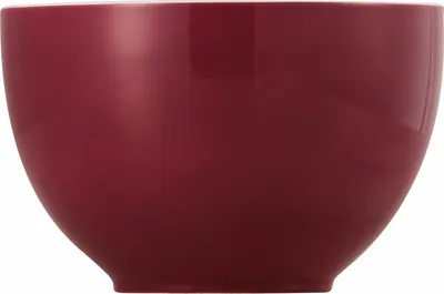Productafbeelding van Thomas Müslischale Sunny Day Fuchsia 10850-408517-15456
