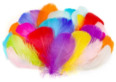 Productafbeelding van Knutselveren - 350 stuks - Voor DIY sieraden en decoratie - 6 tot 12 cm - Meerkleurig