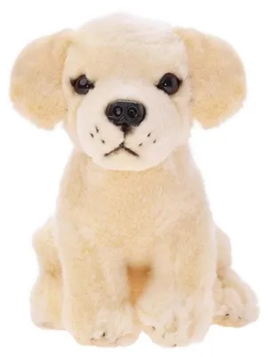Image de Labrador assis 20cm