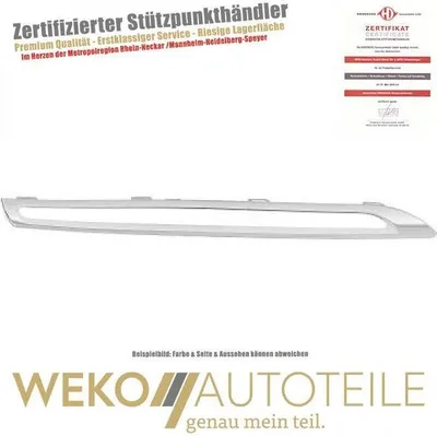 Produktbild von Blende  Kühlergitter rechts unten DIEDERICHS 1692142 für MERCEDES-BENZ