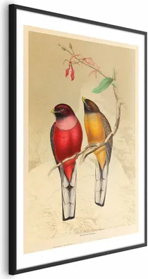 Produktbild von Posterpapier Poster - Birds on a Branch 60x90 cm Tiere g-C-0136-ao-a