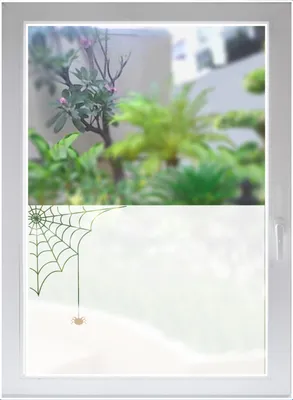 Produktbild von INDIGOS UG Glasdekor Sichtschutzfolie Fensterfolie Dekorfolie Sonnenschutz Fensterbild Spinne satiniert blickdicht - 1000mm Breite x 500mm Höhe