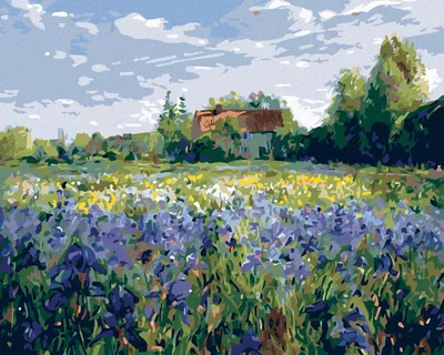 Produktbild von Zuty - Malen nach Zahlen - HAUS AUF DEM LAND, 40x50 cm, ohne Keilrahmen