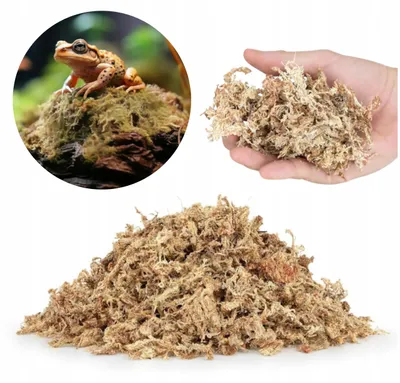 Produktbild von Torfmoos Sphagnum feuchtigkeitsspeichernd 150g ca. 6L