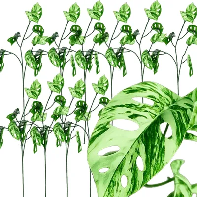 Produktbild von Monstera Kunstpflanze Kunstzweig Fensterblatt 78 cm 10er Set Dekozweig künstliche Pflanze Grün