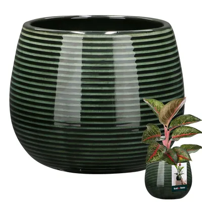 Obrázok produktu pre KOTARBAU® Kvetináč tmavozelený keramický okrúhly ⌀ 12 cm výška 14 cm Glazovaná keramika 1 ks. Kvetináč veľký keramický kvetináč keramický kvetináč keramický kvetináč keramický kvetináč keramický kvetináč keramický