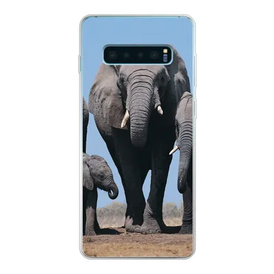 Produktbild von MuchoWow® Handyhülle Schutzhülle Hülle für Samsung Galaxy S10 Lite Elefant - Prärie - Tiere - Natur Silikon Softcase Handy Hülle - Schutz