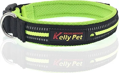 Produktbild von Hundehalsband reflektierend Nylon Mesh atmungsaktives Band Klickverschluss Größe S (Breite 2cm, Länge 35-40cm) Grün